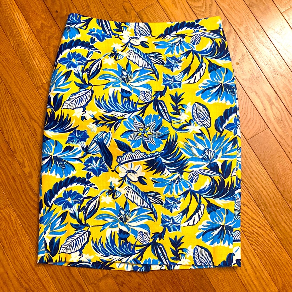 JCrew Skirt